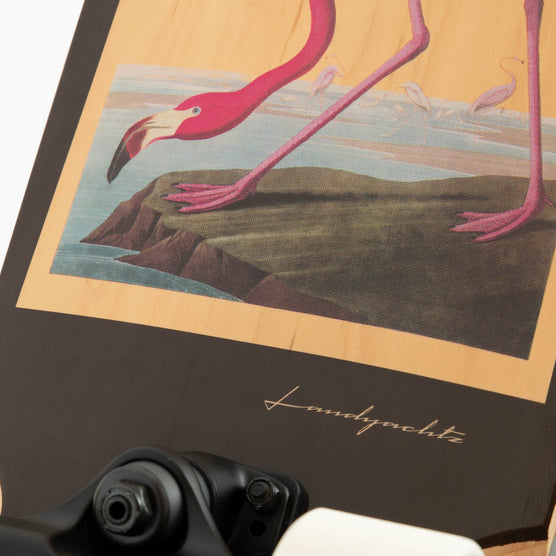 Dinghy Blunt – Flamingo