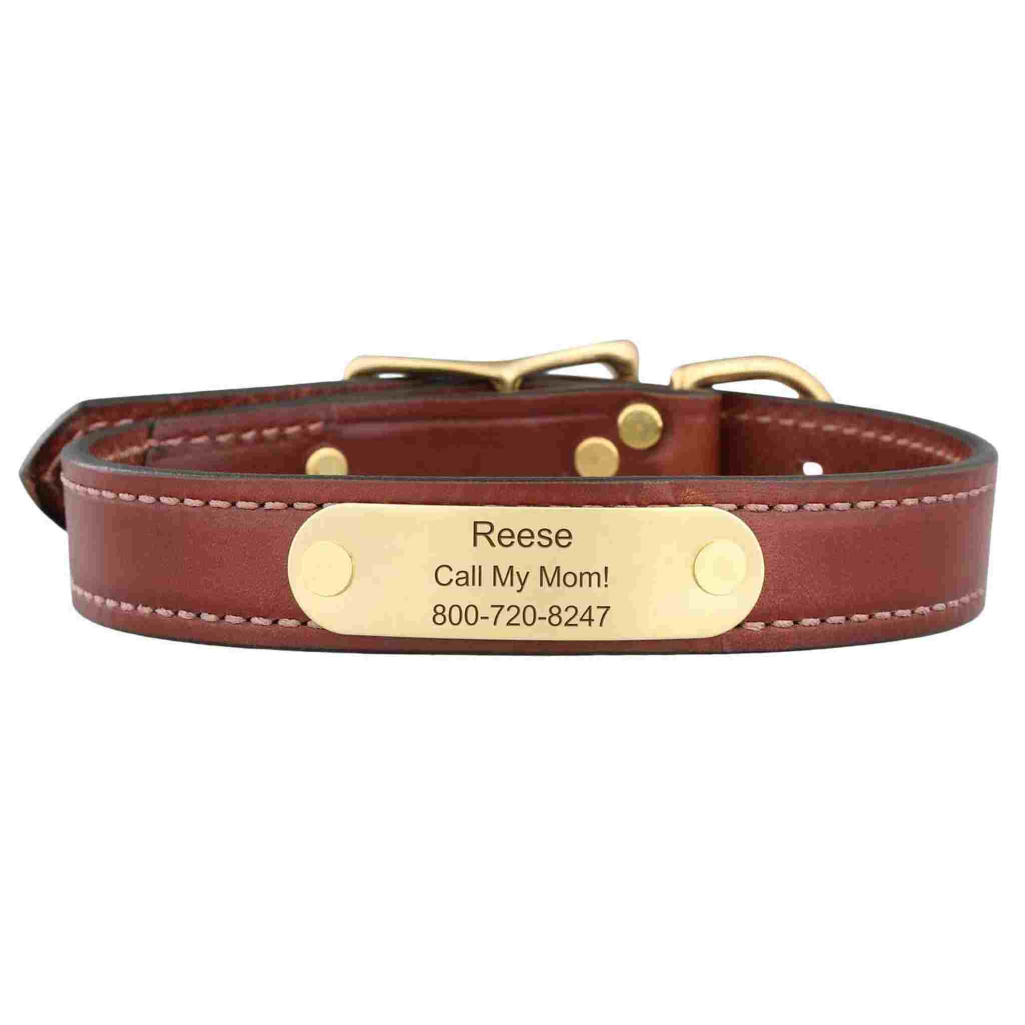 Dog Collar