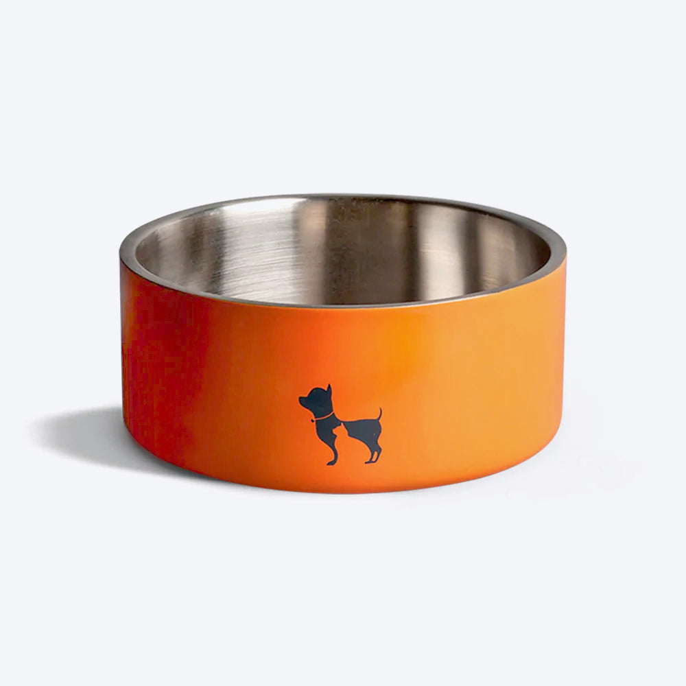 Double-Walled Pet Bowl